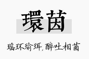 环茵名字的寓意及含义