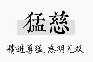 猛慈名字的寓意及含义