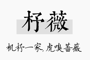 杼薇名字的寓意及含义