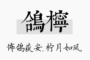 鸽柠名字的寓意及含义