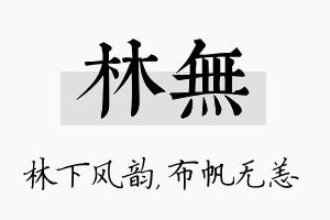 林无名字的寓意及含义