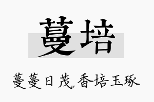 蔓培名字的寓意及含义