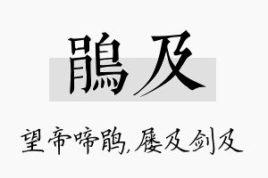 鹃及名字的寓意及含义