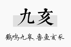 九亥名字的寓意及含义