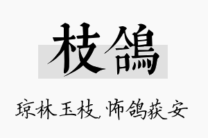 枝鸽名字的寓意及含义