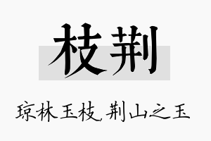 枝荆名字的寓意及含义