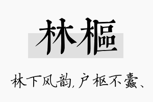 林枢名字的寓意及含义