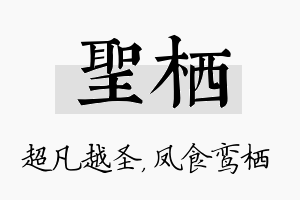 圣栖名字的寓意及含义