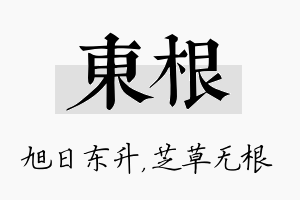 东根名字的寓意及含义