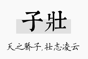 子壮名字的寓意及含义