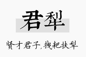 君犁名字的寓意及含义