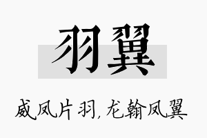 羽翼名字的寓意及含义