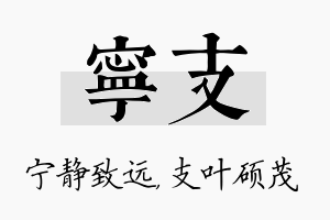 宁支名字的寓意及含义