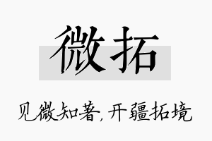 微拓名字的寓意及含义