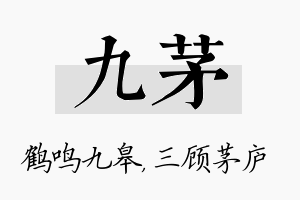 九茅名字的寓意及含义