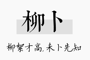 柳卜名字的寓意及含义