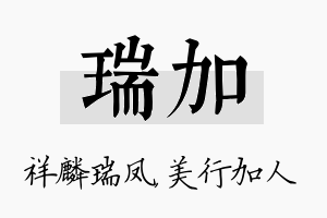 瑞加名字的寓意及含义