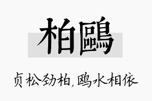 柏鸥名字的寓意及含义