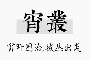 宵丛名字的寓意及含义