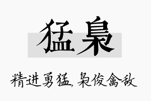 猛枭名字的寓意及含义