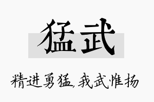 猛武名字的寓意及含义