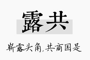 露共名字的寓意及含义