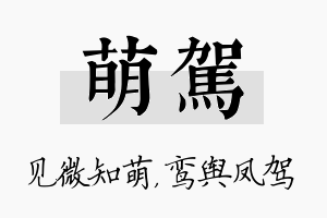 萌驾名字的寓意及含义