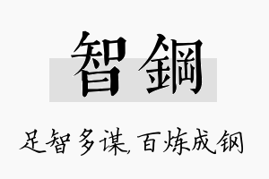 智钢名字的寓意及含义