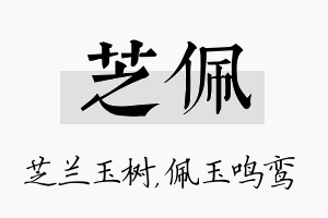 芝佩名字的寓意及含义