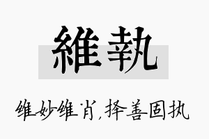 维执名字的寓意及含义