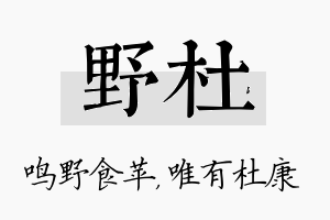 野杜名字的寓意及含义