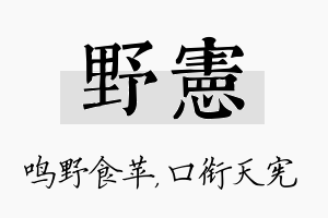 野宪名字的寓意及含义