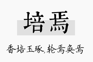 培焉名字的寓意及含义