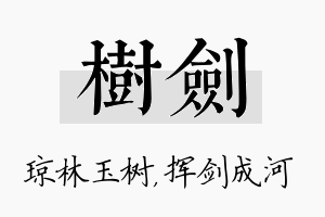 树剑名字的寓意及含义