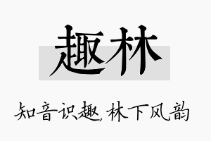 趣林名字的寓意及含义