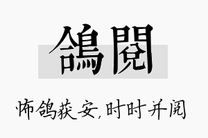 鸽阅名字的寓意及含义