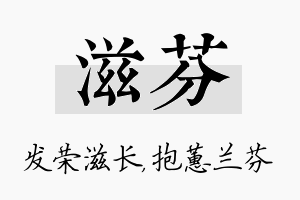 滋芬名字的寓意及含义