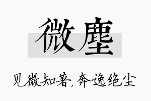 微尘名字的寓意及含义