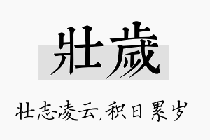 壮岁名字的寓意及含义