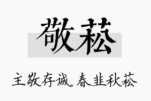 敬菘名字的寓意及含义