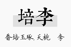 培李名字的寓意及含义