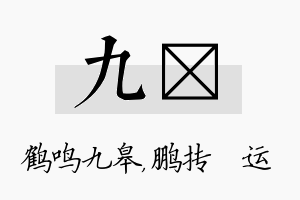 九鹍名字的寓意及含义