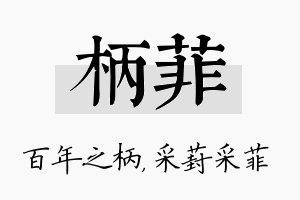 柄菲名字的寓意及含义