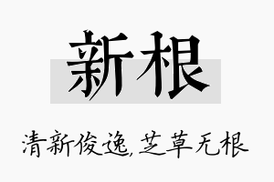 新根名字的寓意及含义