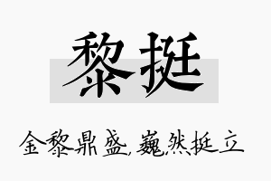 黎挺名字的寓意及含义