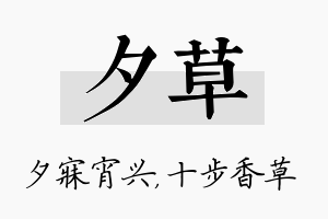 夕草名字的寓意及含义