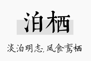 泊栖名字的寓意及含义