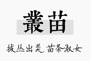 丛苗名字的寓意及含义