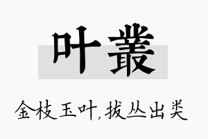 叶丛名字的寓意及含义