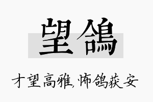 望鸽名字的寓意及含义